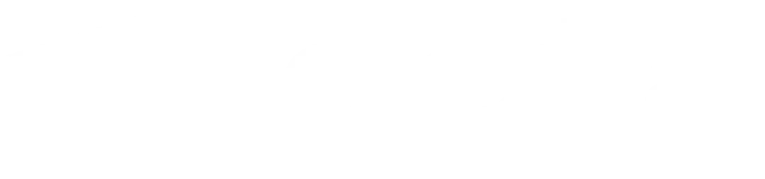Roota